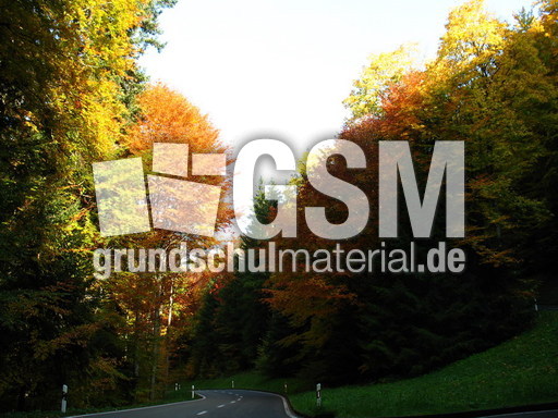 Schweiz Le Chasseral 021.JPG